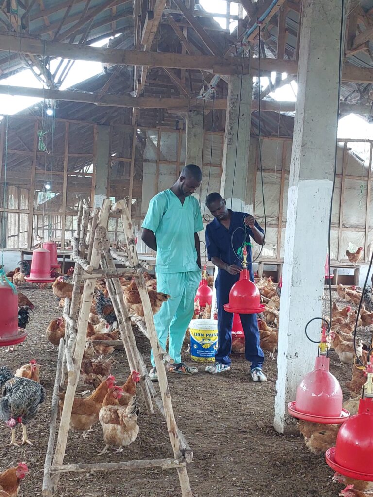 Joe Antonio works alongside private-sector partners in a parent stock house in Sierra Leone.
